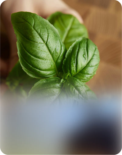Grow Without the Guesswork
