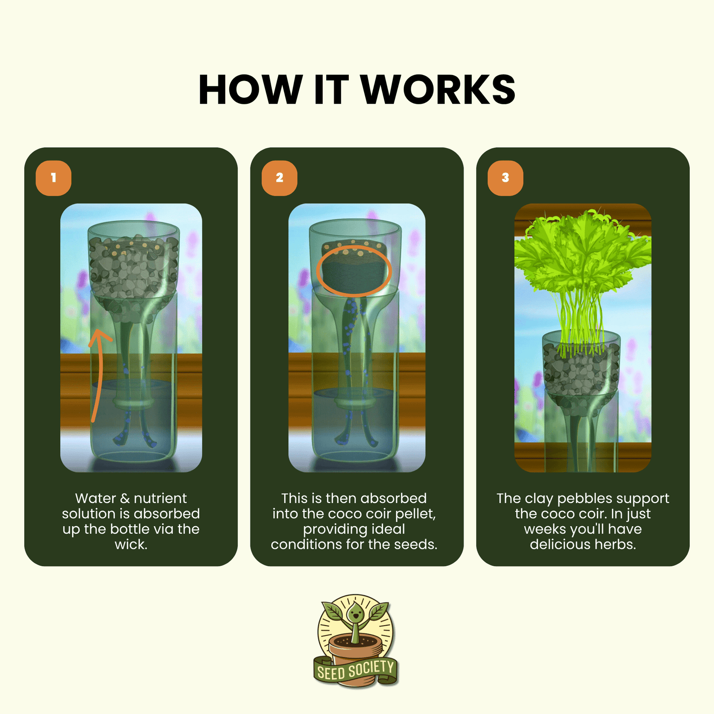 Hydroponic Herb Grow Bottle - Wholesale