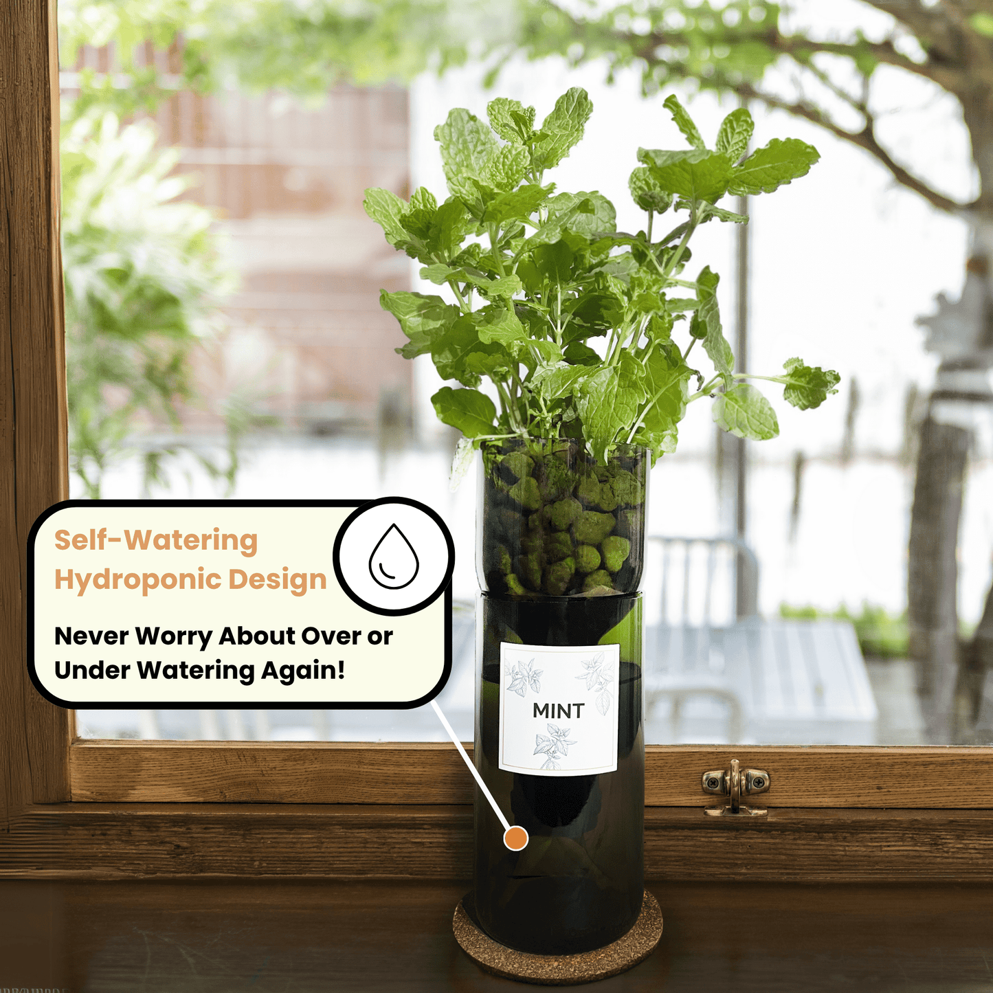 Hydroponic Herb Grow Bottle - Wholesale