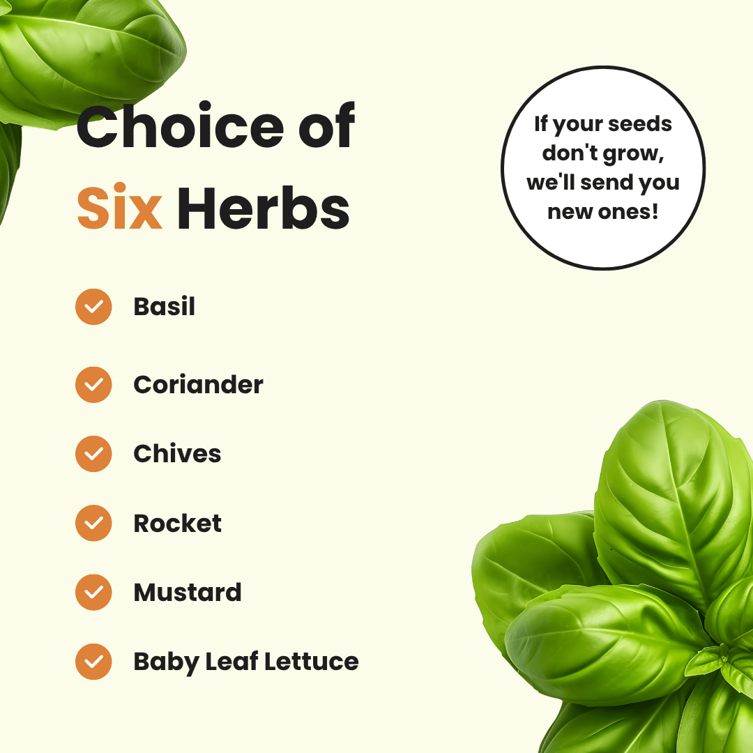 Hydroponic Herb Grow Bottle