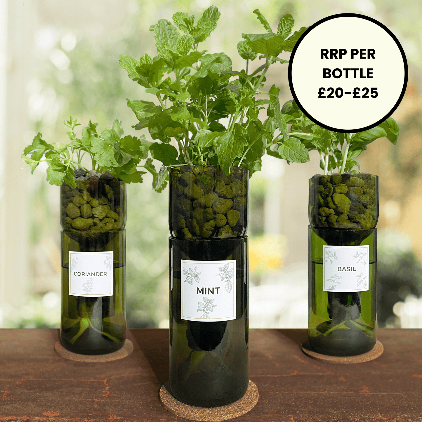 Hydroponic Herb Grow Bottle - Wholesale