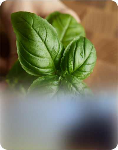 Grow Without the Guesswork