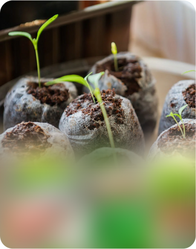 Mess-Free Gardening
