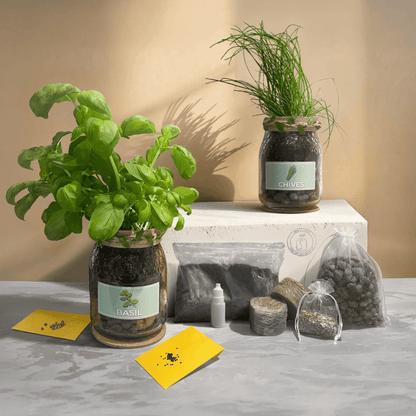 Indoor herb growing kit with glass jar planters, featuring fresh basil and chives, complete with herb seeds, soil, and growing accessories.