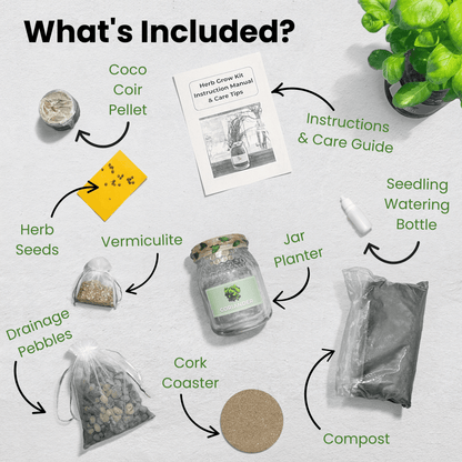 Flat lay image showing contents of an indoor herb growing kit, including a glass jar planter, compost, herb seeds, drainage pebbles, vermiculite, coco coir pellet, cork coaster, seedling watering bottle, and care guide.