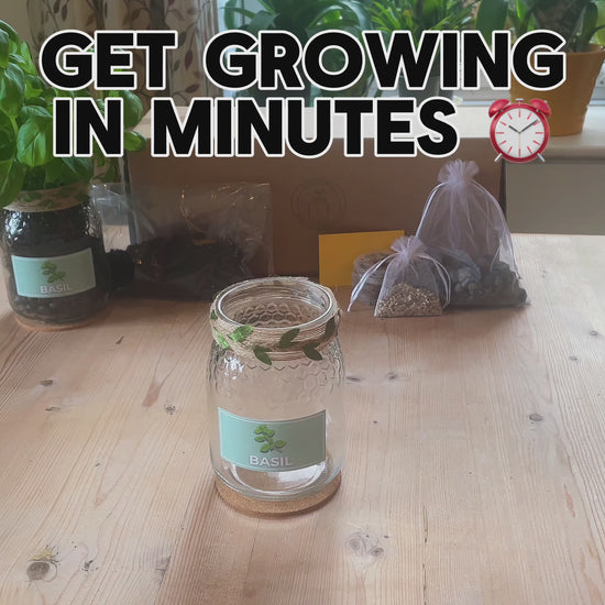 Instruction video showing how to set up and grow herbs using an indoor herb jar growing kit with glass jar planters, including soil and seeds.