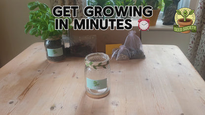 Instruction video showing how to set up and grow herbs using an indoor herb jar growing kit with glass jar planters, including soil and seeds.