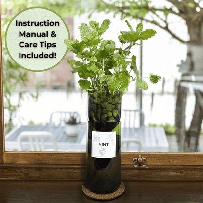 Self-watering herb planter made from an upcycled wine bottle, growing fresh mint using a hydroponic system, placed on a kitchen windowsill, with instruction manual and care tips included.